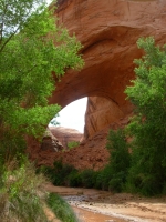 Looking Back at an Arch